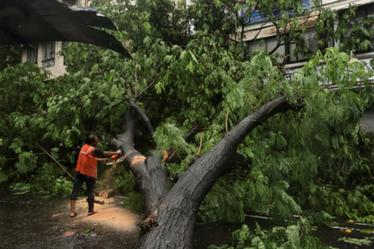 চীনে শক্তিশালী টর্নেডোর আঘাতে ১১ জনের প্রাণহানি