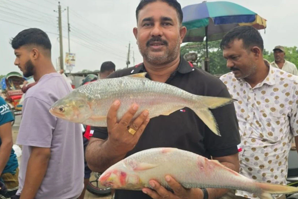পদ্মার দুই ইলিশের দাম ১৬ হাজার
