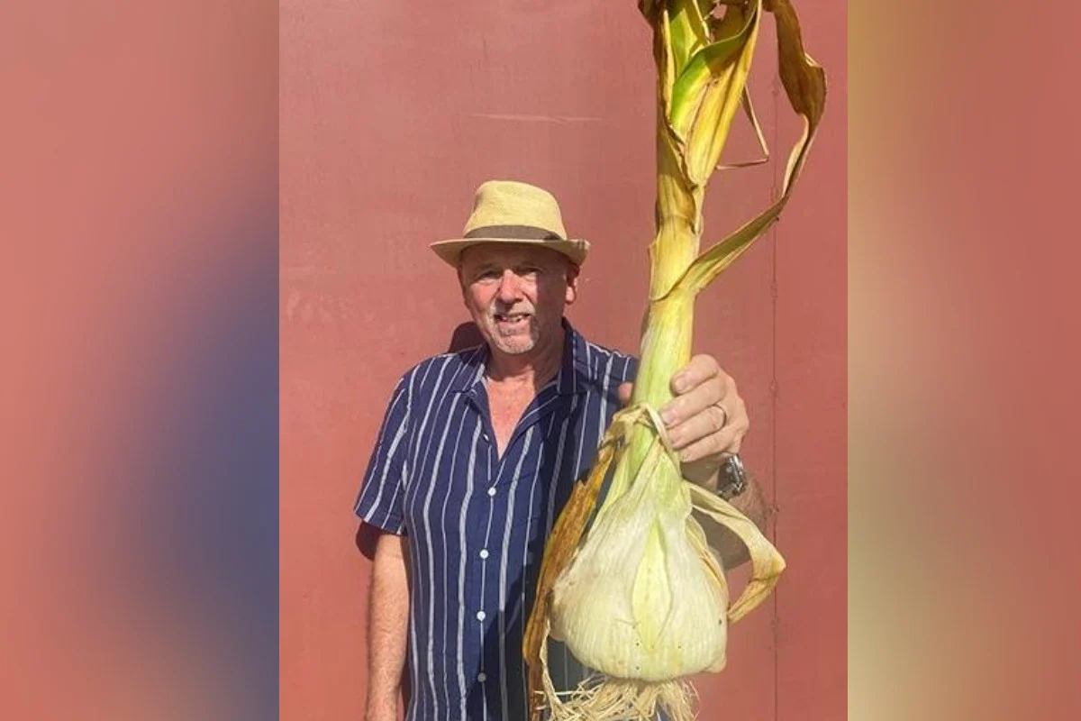 দেড় কেজি ওজনের রসুন ফলিয়ে কৃষকের রেকর্ড