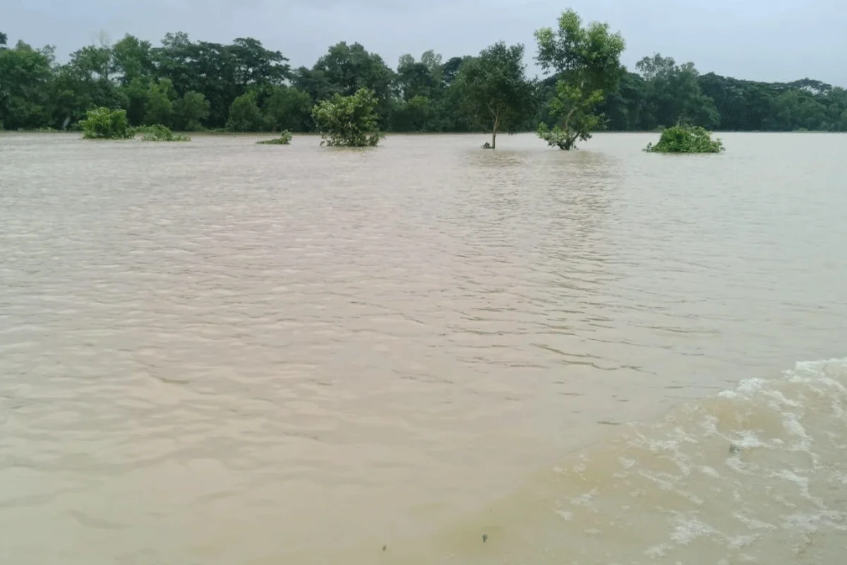 চট্টগ্রামে পানিবন্দি মানুষের বেঁচে থাকার লড়াই
