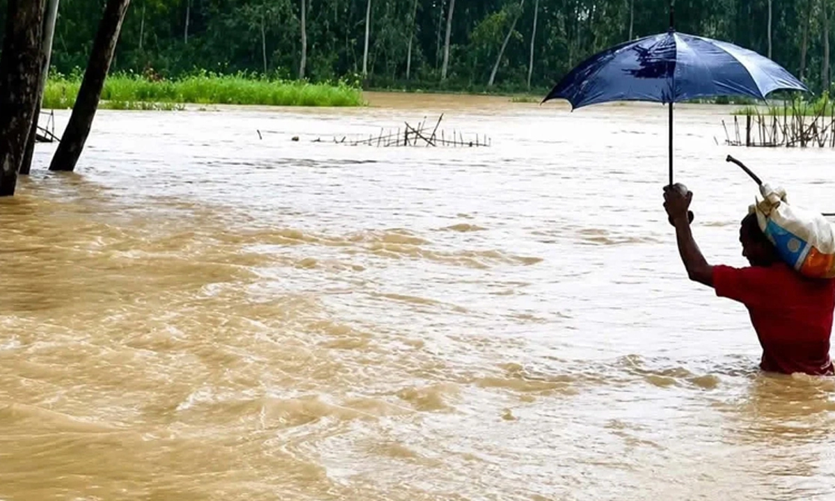 চট্টগ্রামে সাপের কামড়ে আহত ৭৫ জন