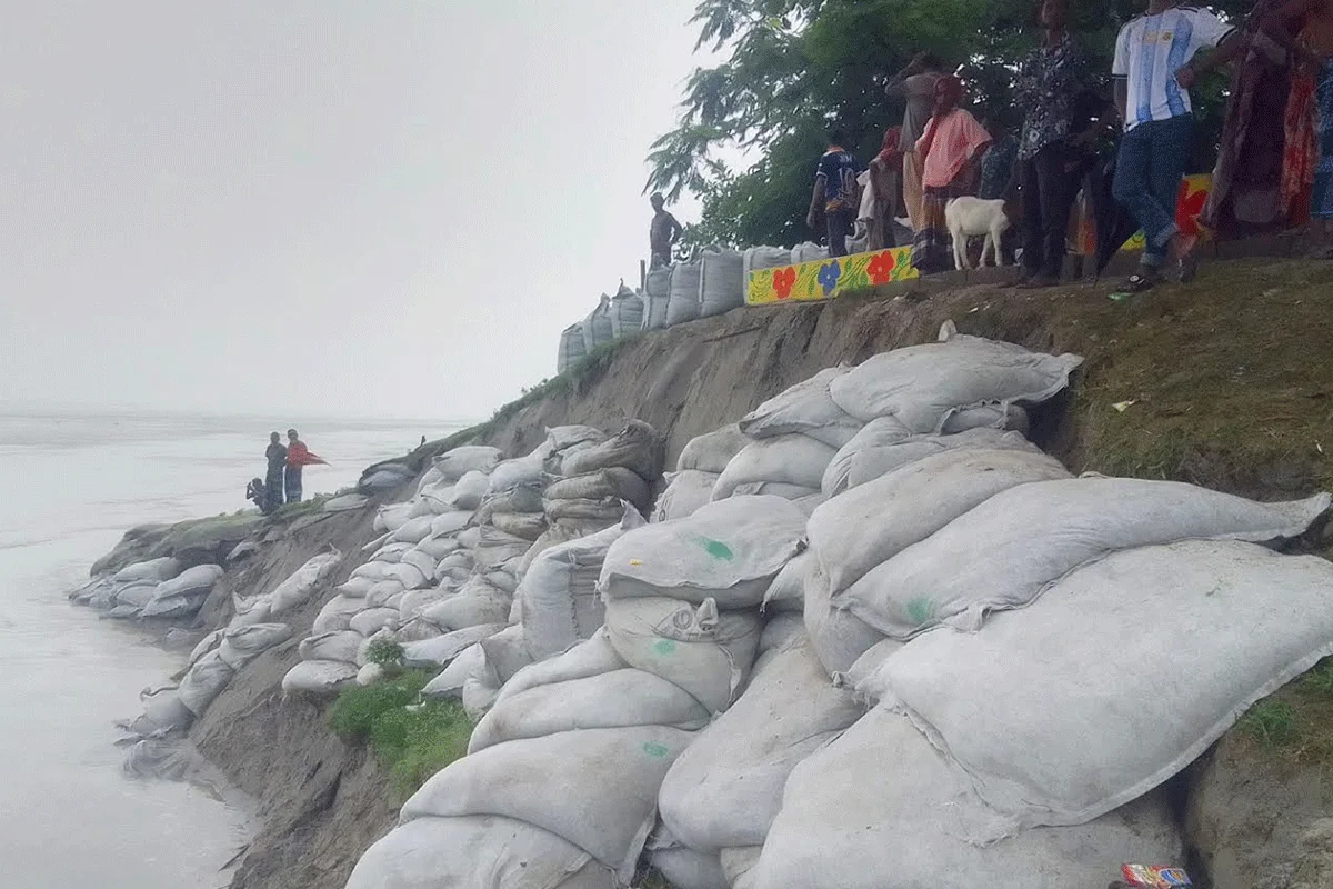 বগুড়ায় যমুনায় ভাঙছে বসতভিটা ও ফসলি জমি