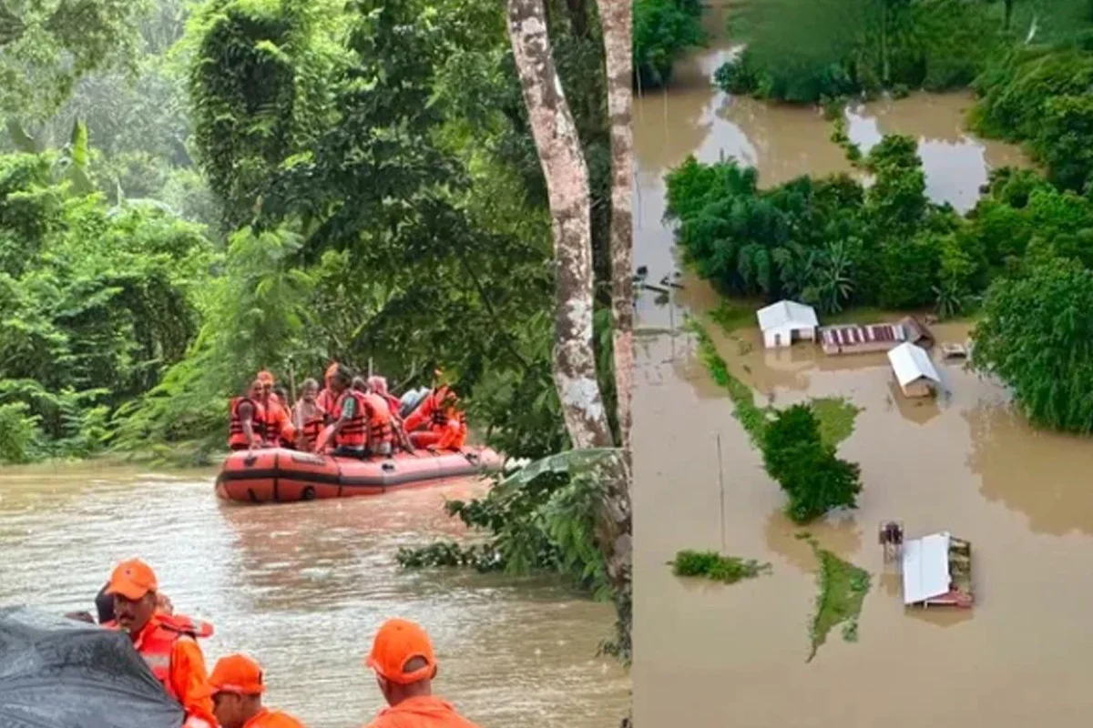 আসামে বন্যায় মৃতের সংখ্যা বেড়ে ৩১, ক্ষতিগ্রস্ত ৫ লাখেরও বে...