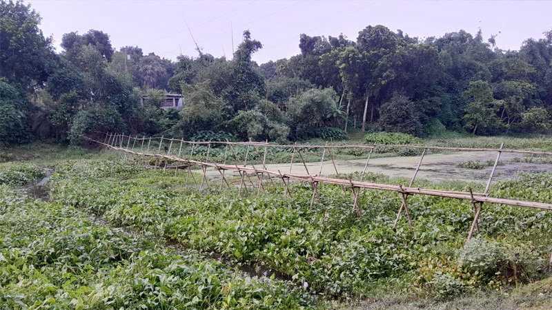 বর্ষা এলেই বন্ধ স্কুল!