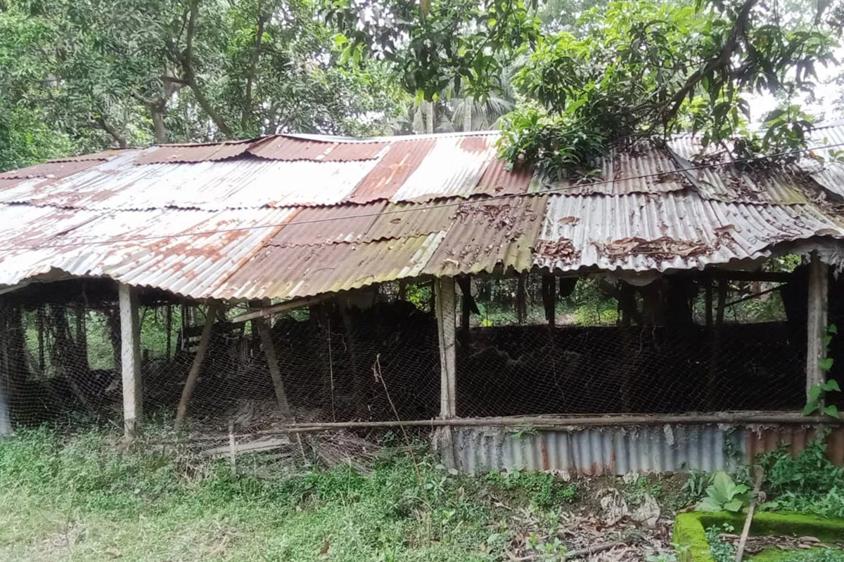 বন্যায় দিশেহারা চট্টগ্রামের কৃষক-খামারি, মিলছে না পর্যাপ্ত প...