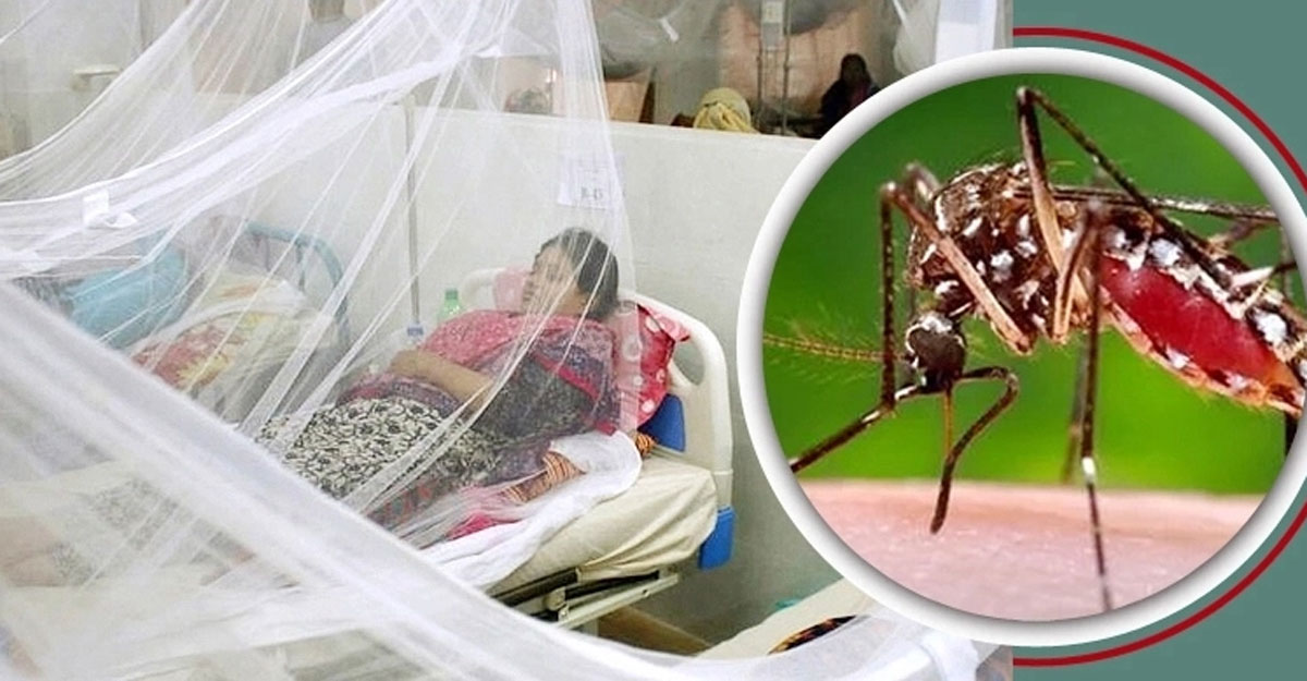ডেঙ্গুতে আরও ৩ জনের মৃত্যু, হাসপাতালে ভর্তি ৭৫৩