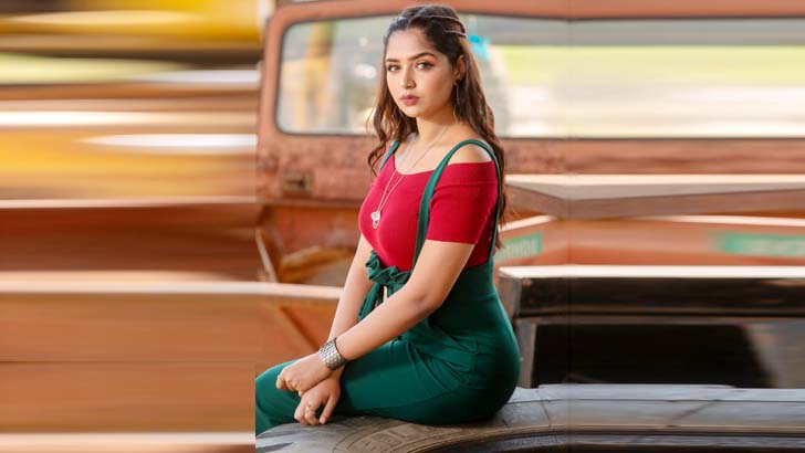 হিমির নানা কথা