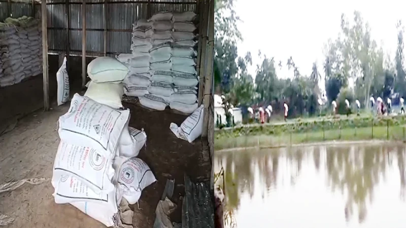 কুড়িগ্রামে গুদাম ভেঙে ১৯৭ বস্তা সার নিয়ে গেলেন ক্ষুব্ধ কৃষ...