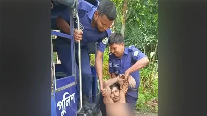 ডাব চুরি করতে গিয়ে ভিমরুলের কামড়, উদ্ধারে বাড়ির মালিককে ড...