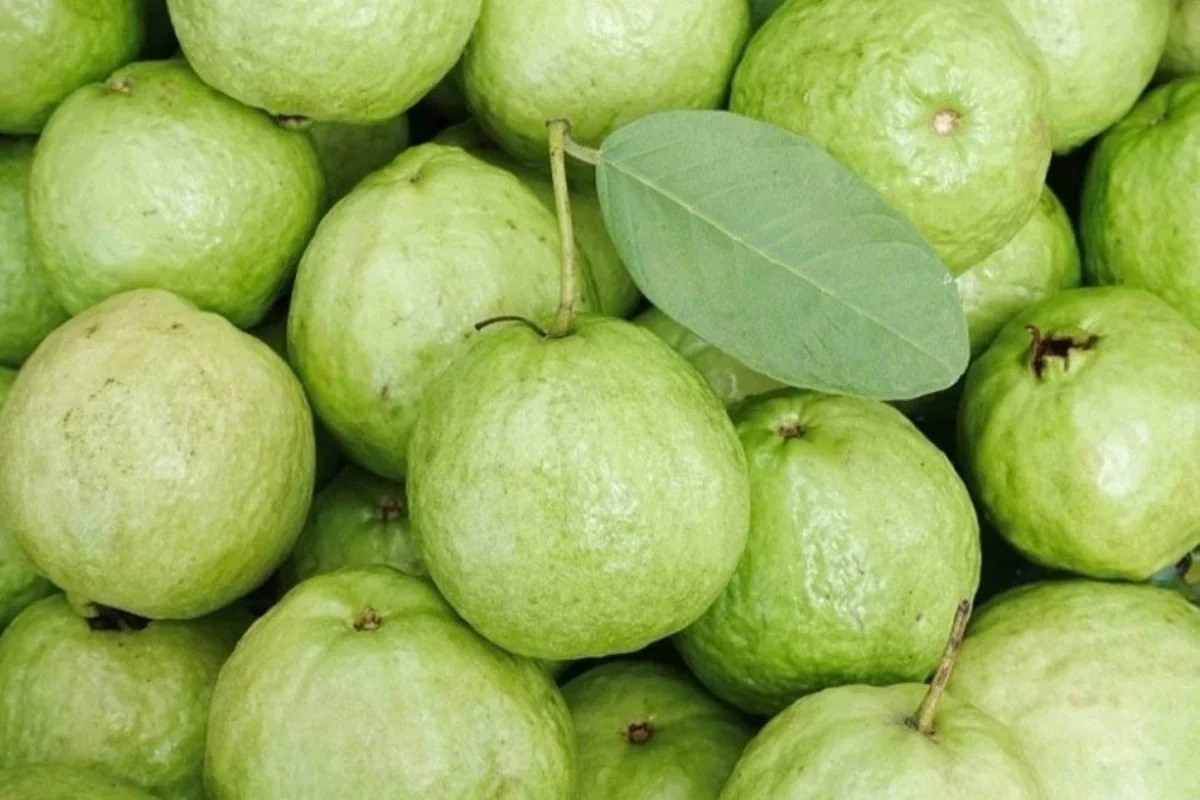 পেয়ারার পুষ্টিগুণ