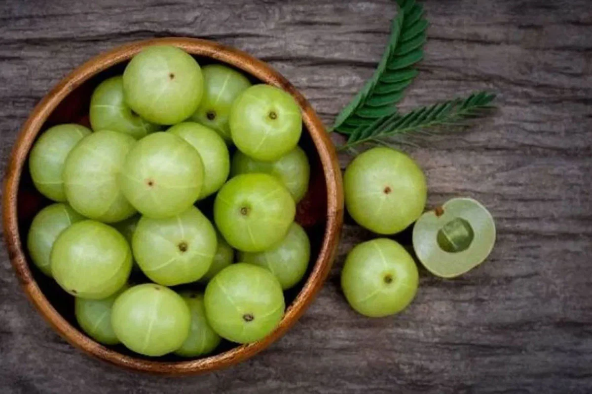 আমলকি খাওয়ার ১০ উপকারিতা